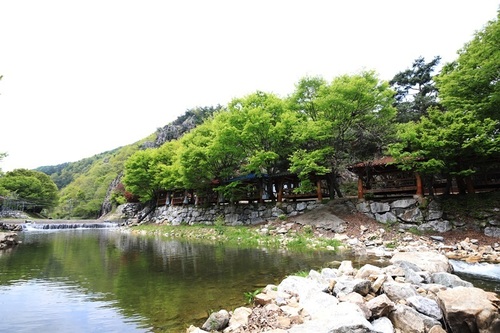 소나무펜션 전경사진