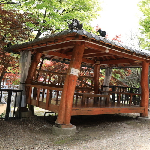 원목정자11호